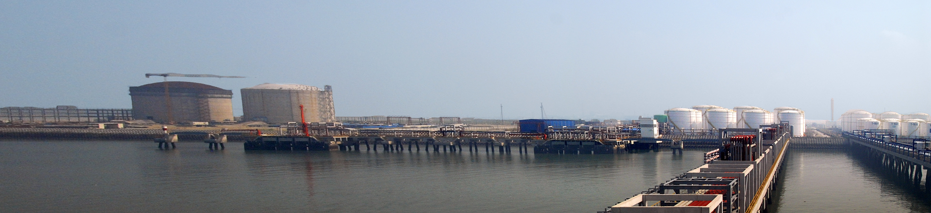 广西最长跨海大桥与“海上森林”同在大工业与白海豚共存