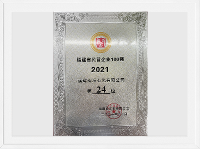 2021年福建省民营企业100强第24位